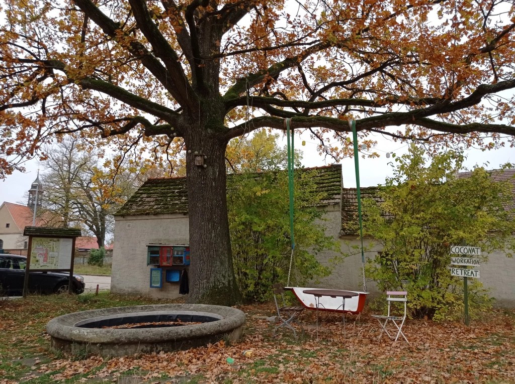 I tried COCONAT workation near Berlin